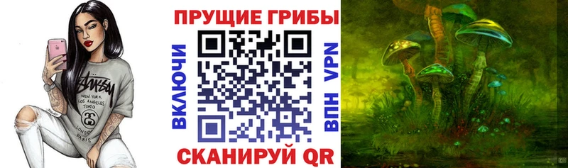 Псилоцибиновые грибы MAGIC MUSHROOMS  Купить закладки  Жердевка 